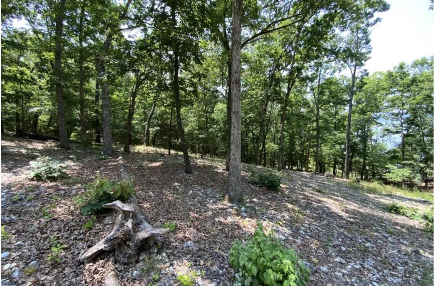 Driftwood Resort Bull Shoals Esterno foto