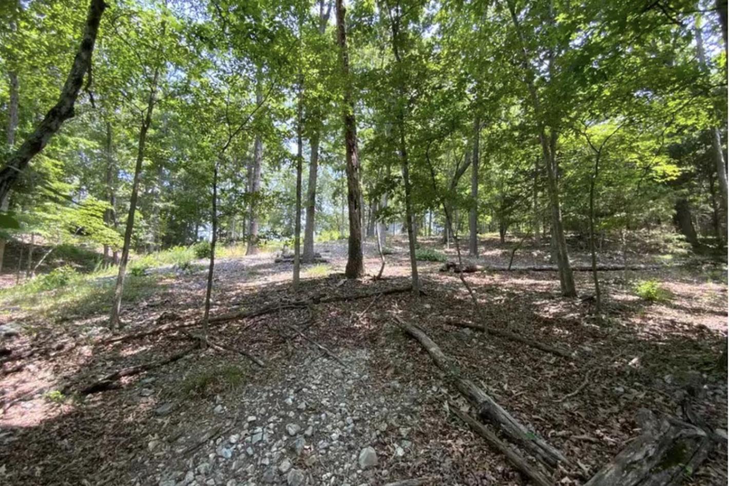 Driftwood Resort Bull Shoals Esterno foto